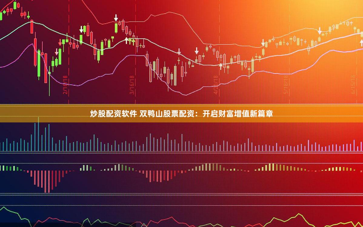 炒股配资软件 双鸭山股票配资：开启财富增值新篇章